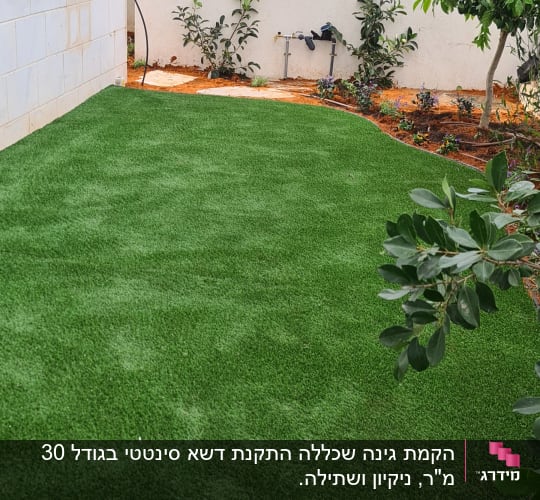 דשא ירוק, עצים ופרחים בגינה קטנה